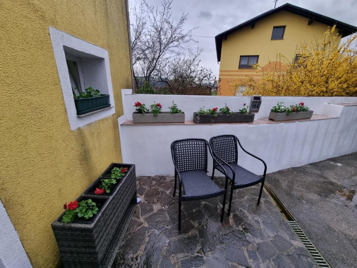 Pension Donaublick Grein 2 In Stifterstrasse 19A Exteriér fotografie