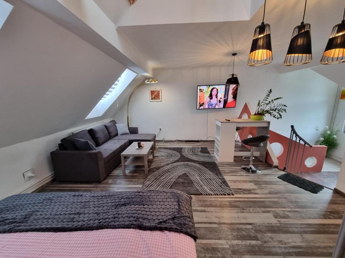Pension Donaublick Grein 2 In Stifterstrasse 19A Exteriér fotografie