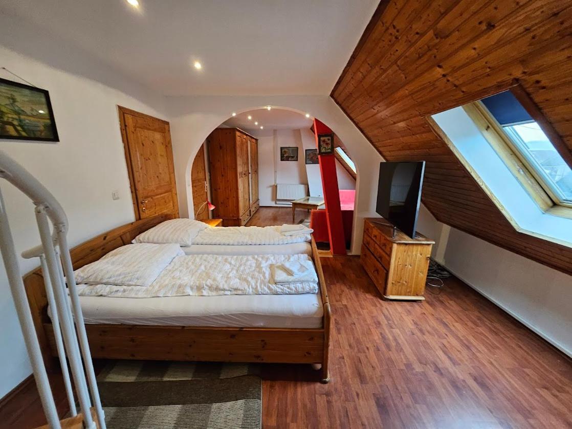 Pension Donaublick Grein 2 In Stifterstrasse 19A Exteriér fotografie